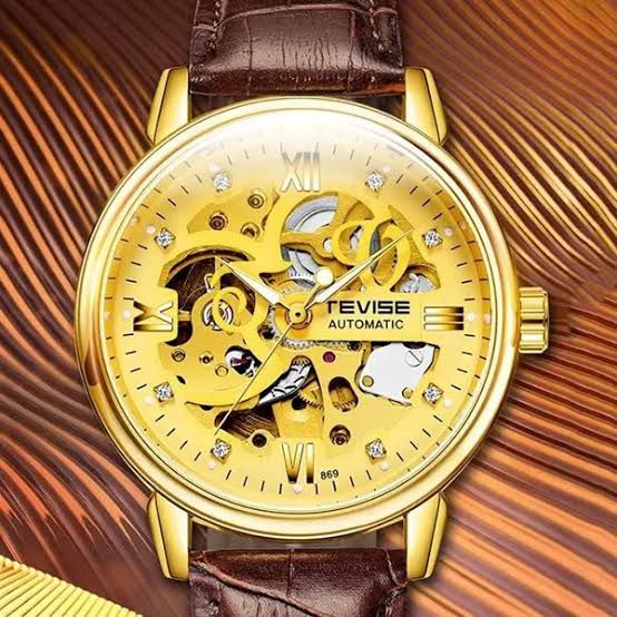 TEVISE Automatic Mechanical Men's Water Resistant Watch