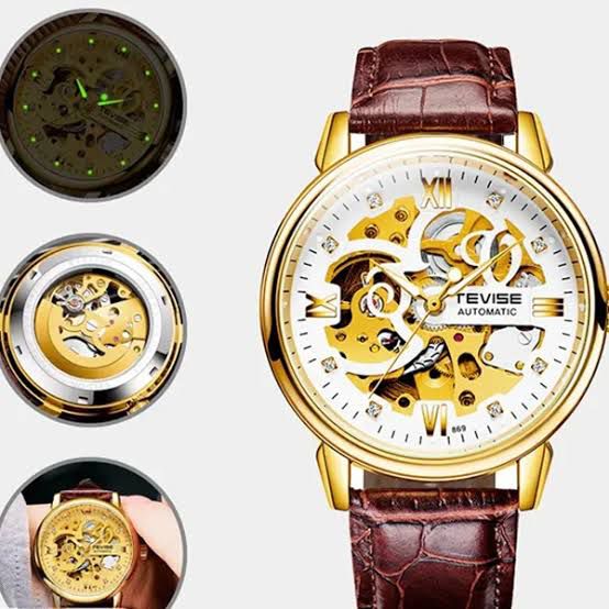 TEVISE Automatic Mechanical Men's Water Resistant Watch